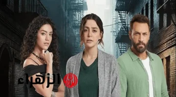 جلال يطالب ميرنا بالتبرع لسلمى قبل عرض الحلقة 80 على CBC